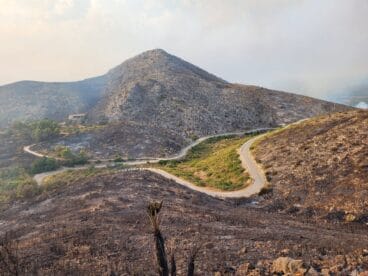 Terreno calcinado de Pego a Vall d’Ebo martes 16 de agosto
