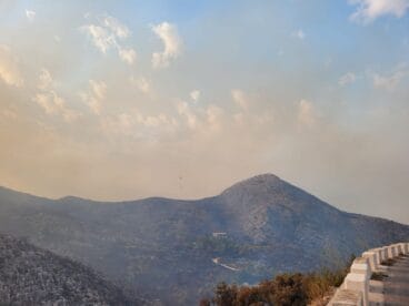 Terreno calcinado de Pego a Vall d’Ebo martes 16 de agosto 31