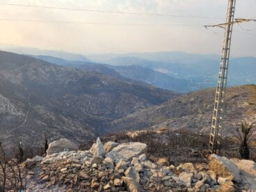 Terreno calcinado de Pego a Vall d’Ebo martes 16 de agosto 36