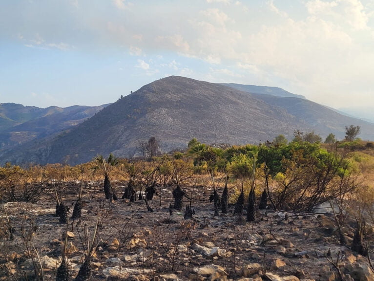 Terreno calcinado de Pego a Vall d'Ebo martes 16 de agosto 38