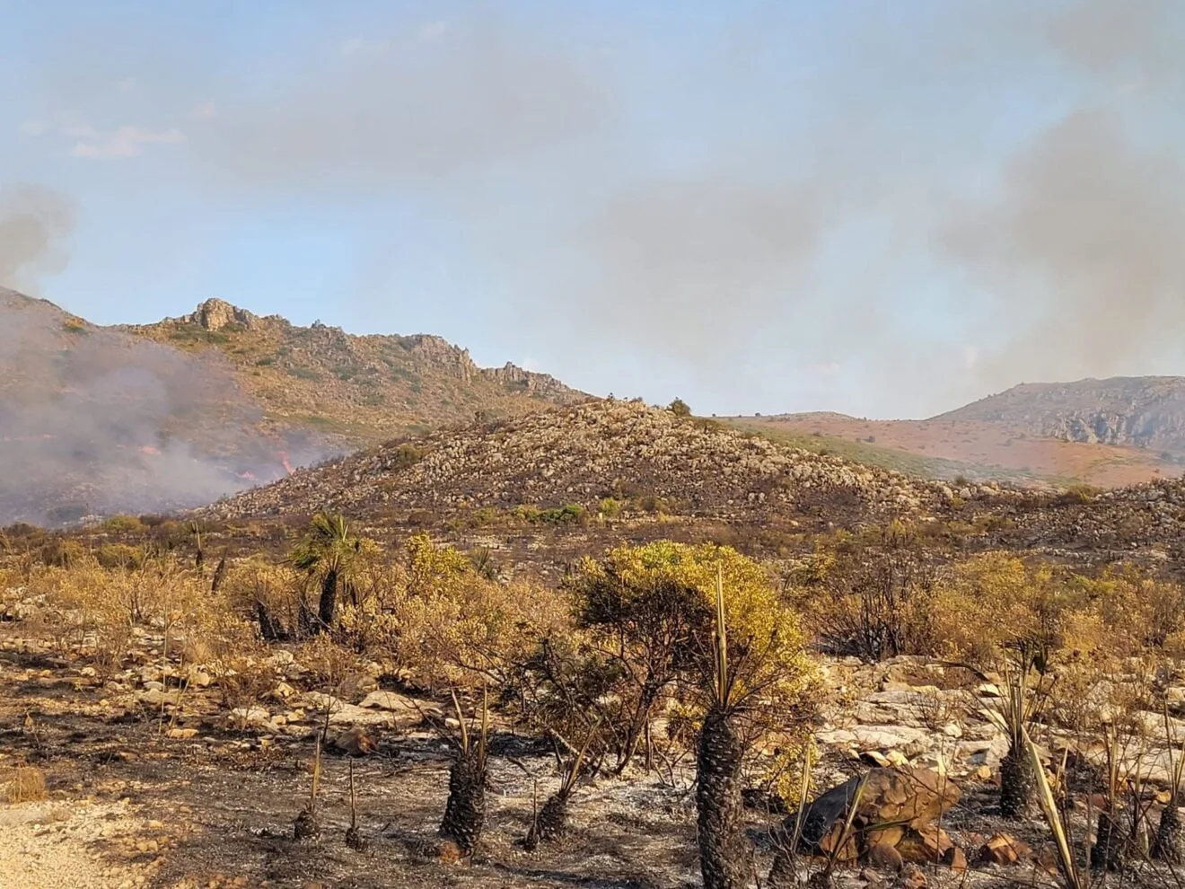 Terreno calcinado de Pego a Vall d'Ebo martes 16 de agosto 39