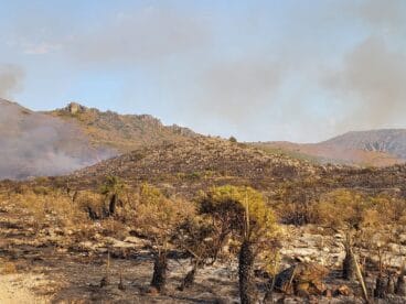 Terreno calcinado de Pego a Vall d’Ebo martes 16 de agosto 39