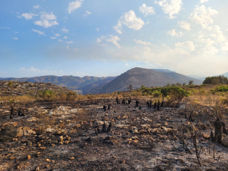 Terreno calcinado de Pego a Vall d'Ebo martes 16 de agosto 40