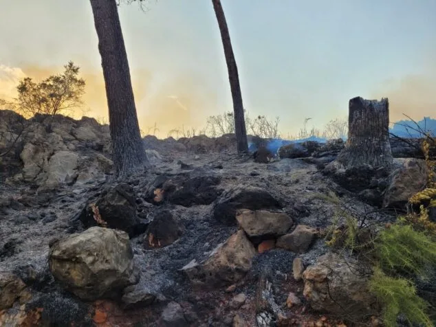 terreno calcinado de pego a vall debo martes 16 de agosto 43