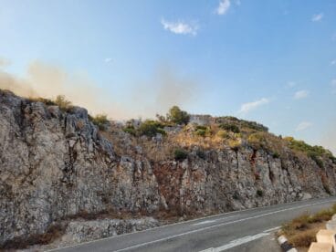 Terreno calcinado de Pego a Vall d’Ebo martes 16 de agosto 45