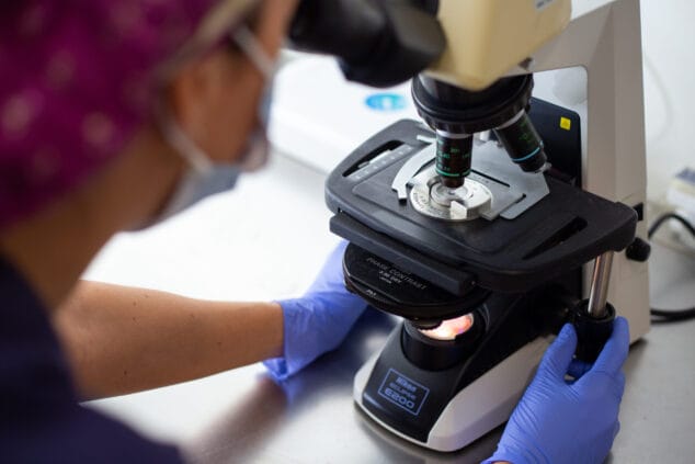 IREMA 7 tratamiento de diagnostico genetico preimplantacional 1