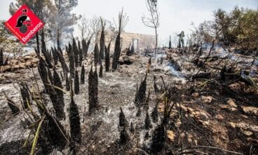 Zona calcinada de la Vall d’Ebo