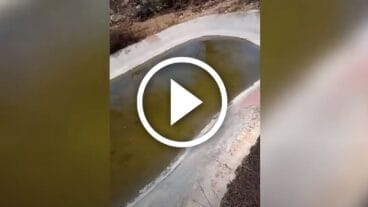 Balsa de agua en el coto de caza de Pego