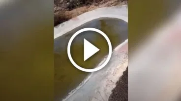 Balsa de agua en el coto de caza de Pego