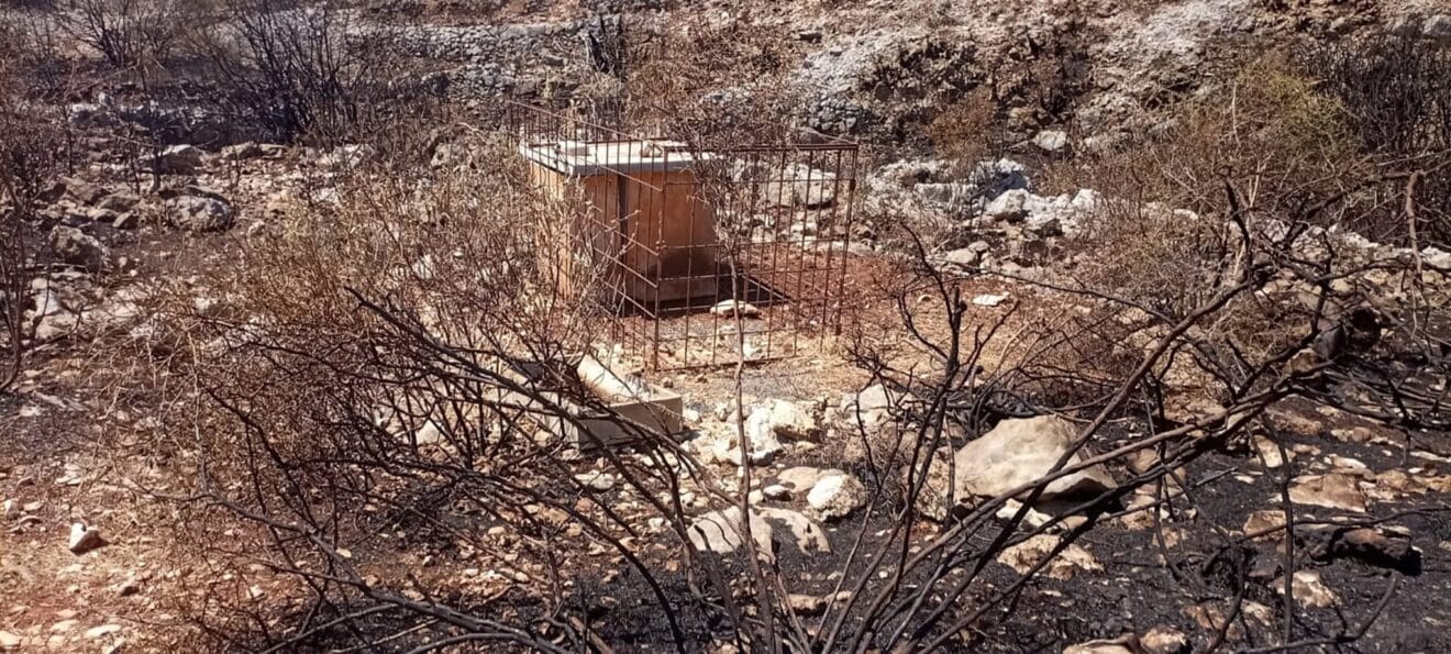Bebedero rodeado de terreno quemado en Pego