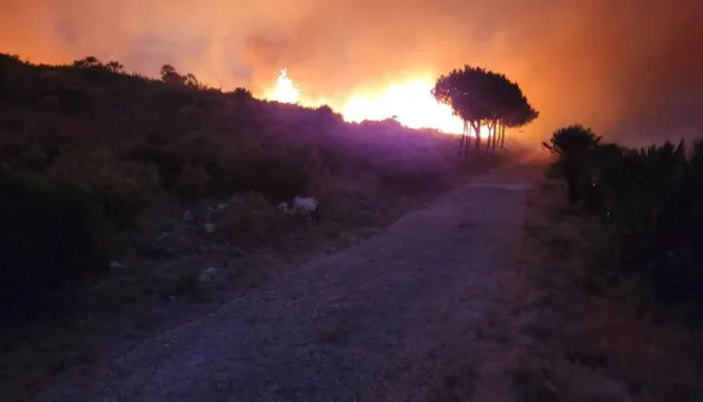 Imagen: Incendio en Vall d'Ebo (archivo)