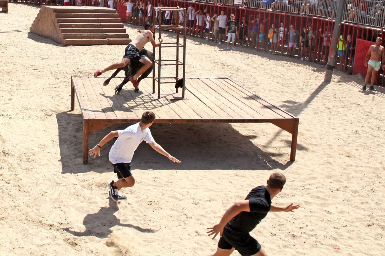 Jornada de Bous a la mar en Xàbia