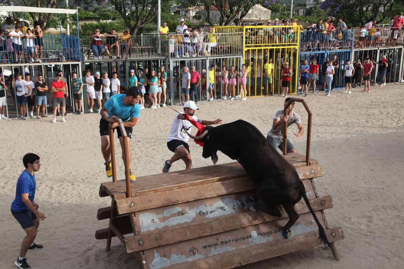 Primera sesión taurina en les Fogueres de Xàbia de 2022