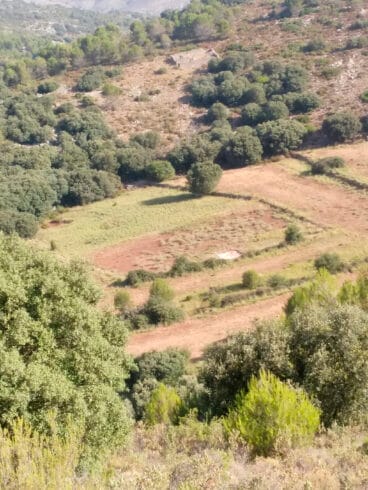 Terreno mantenido por los cazadores