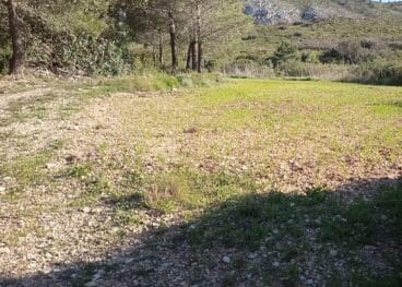 Zona del coto pegolí