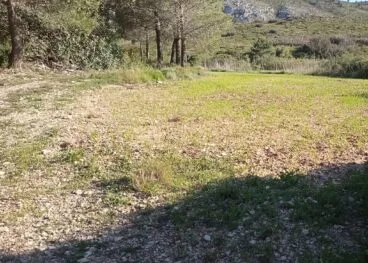 Zona del coto pegolí