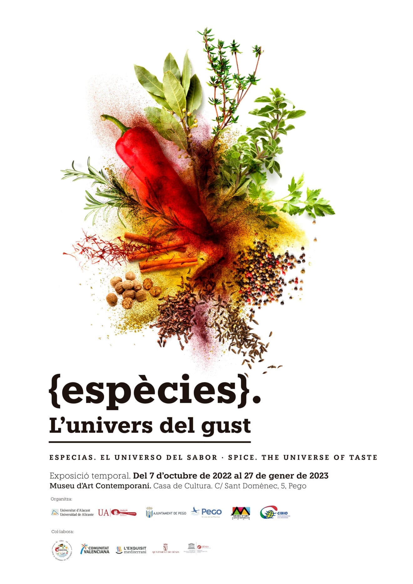 Cartel de 'Espècies, L’univers del sabor' de la Càtedra Carmencita d’Estudis del Sabor Gastronòmic de la Universitat d’Alacant