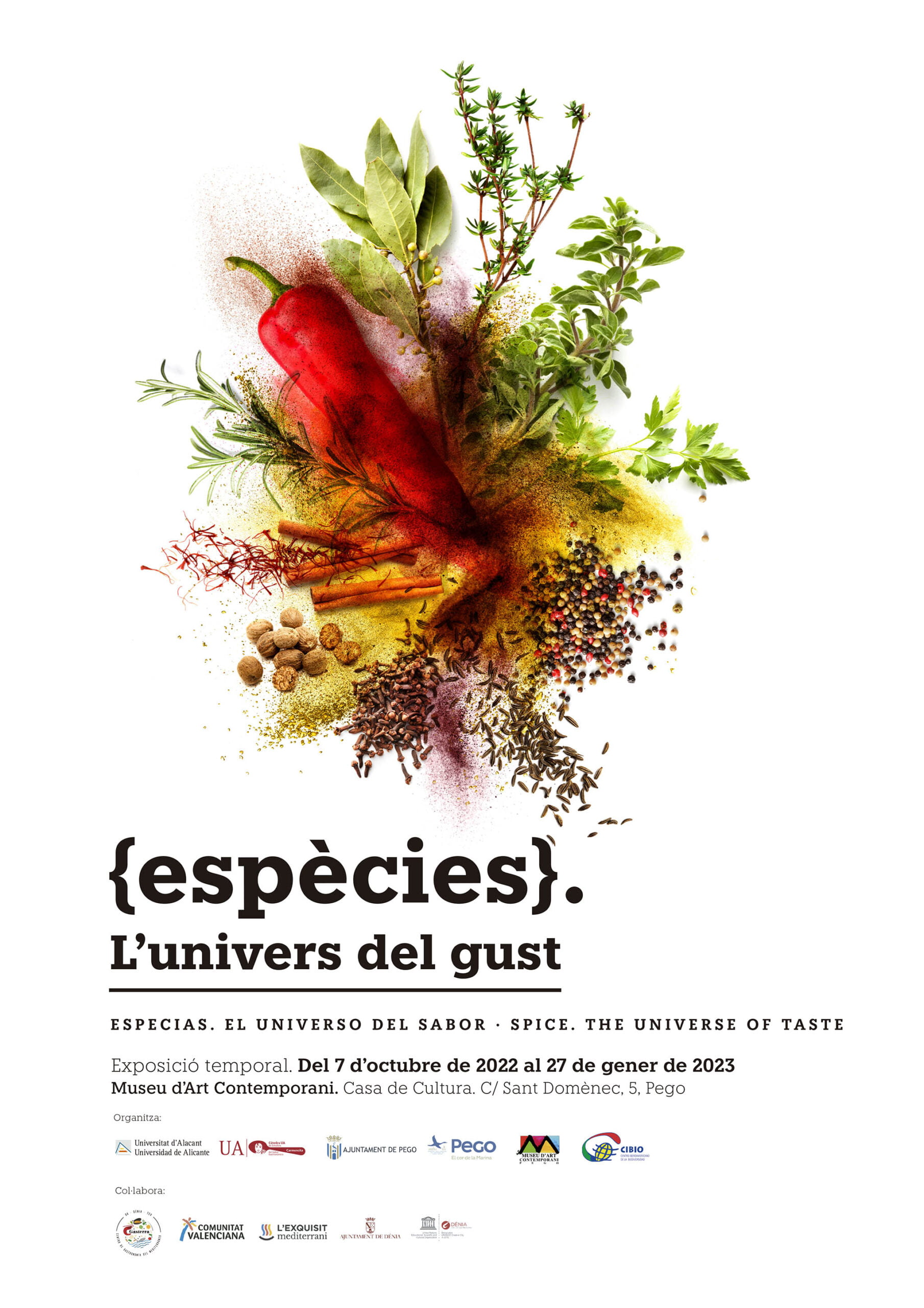 Cartel de ‘Espècies, L’univers del sabor’ de la Càtedra Carmencita d’Estudis del Sabor Gastronòmic de la Universitat d’Alacant