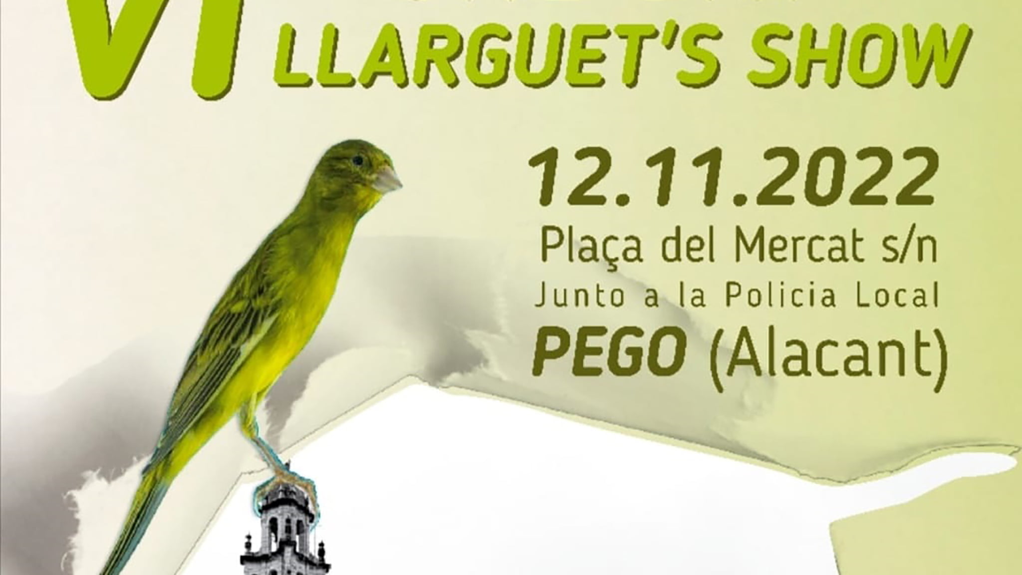 Competición de canarios ‘Llarguet’ en Pego