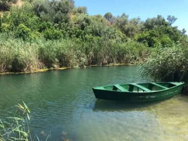 paseos en barca por la marjal pego oliva