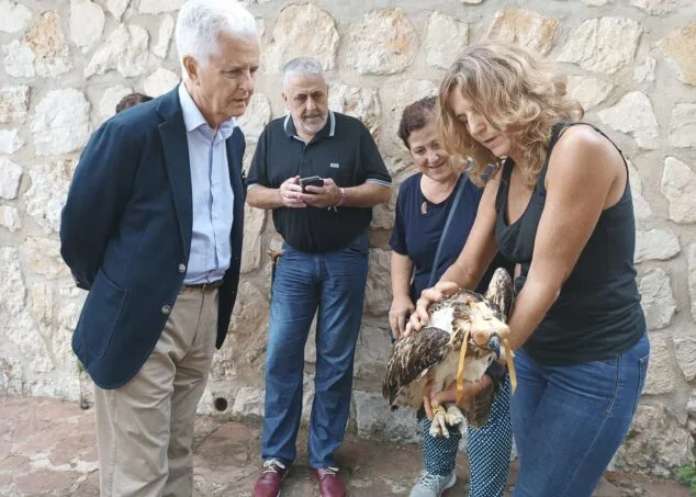 Imagen: Presentación de Brisa, la nueva áquila pescadora de la Marjal Pego-Oliva