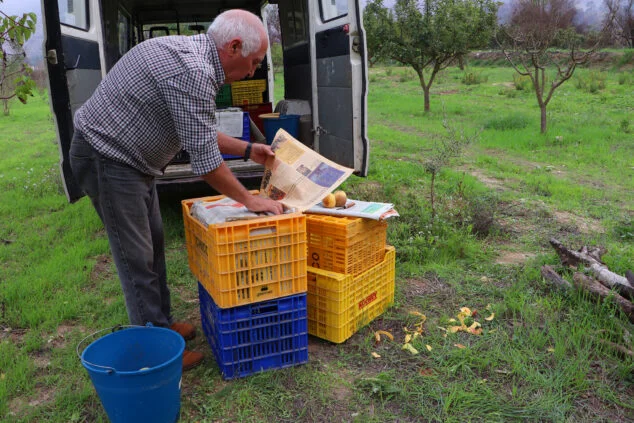 Imagen: Almacenamiento del fruto en cajas forradas con papel