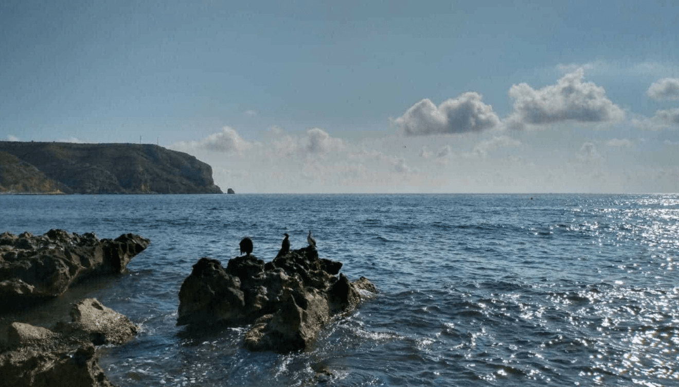 Cafetería con terraza para disfrutar de un café o aperitivo cerca del mar
