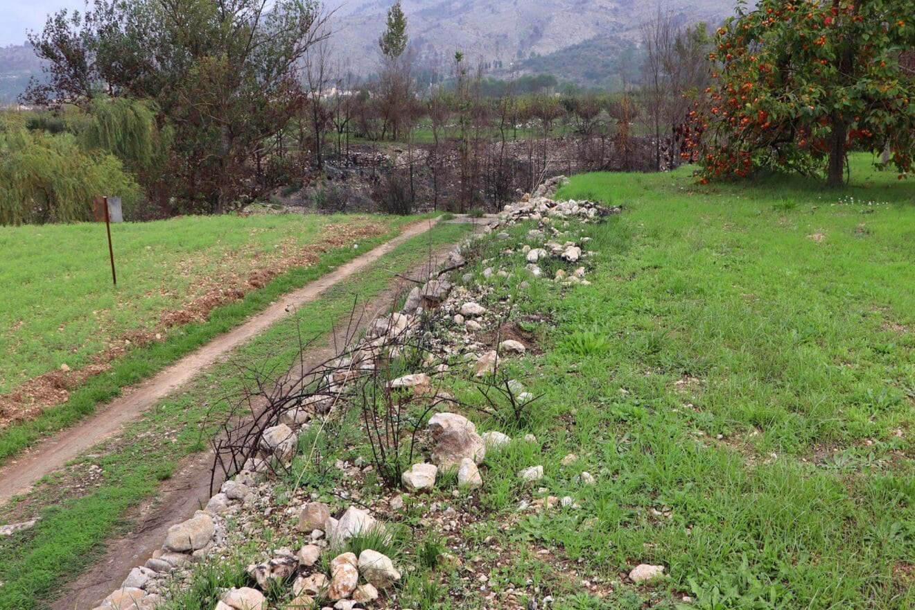 Cosecha de perelló de la Vall d'Ebo en octubre 01