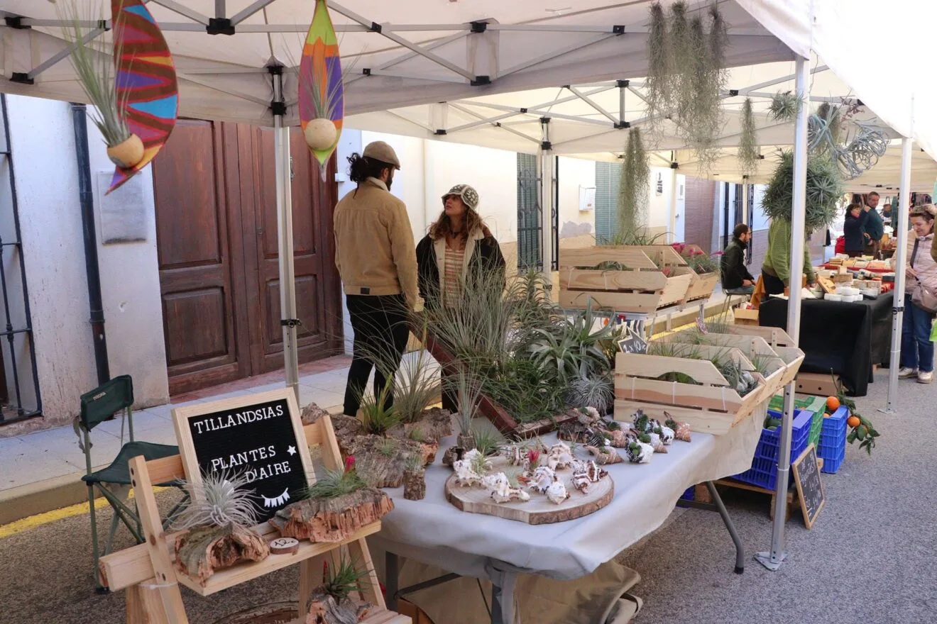 Festa Fira del perelló a la Vall d'Ebo 2022 71