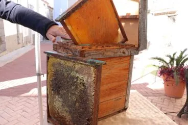Festa Fira del perelló a la Vall d’Ebo 2022 92