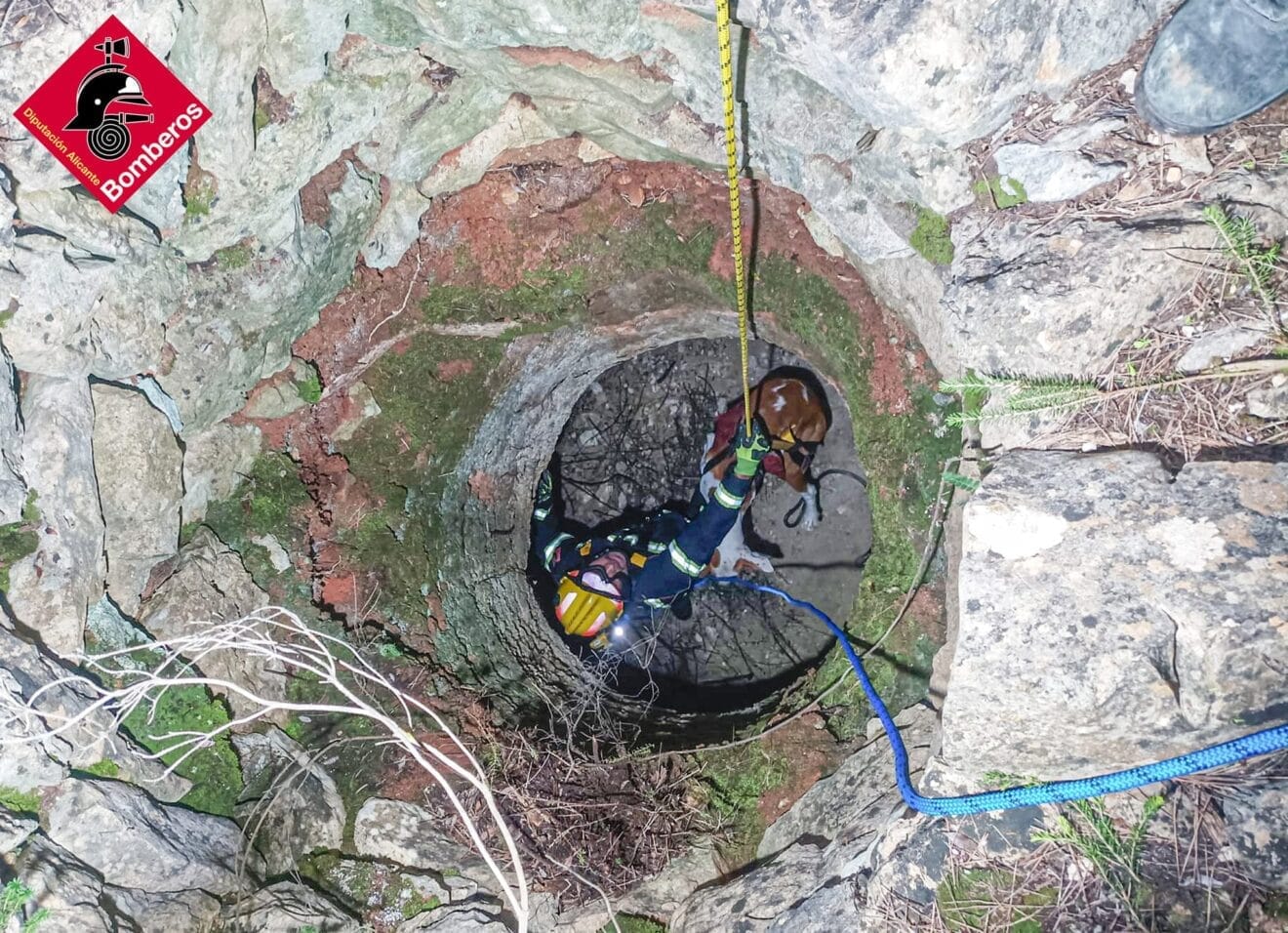Los bomberos durante las labores de rescate del perro