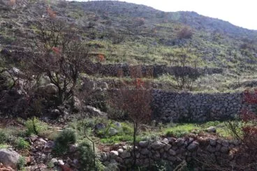 Paisaje en la Vall d’Ebo dos meses después del incendio 05