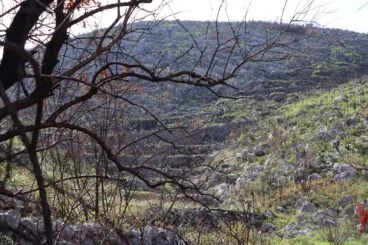 Paisaje en la Vall d’Ebo dos meses después del incendio 07