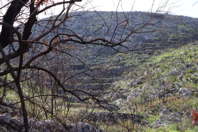 Les Valls de la Marina Alta desean renacer: ¿cuándo se recuperarán las montañas tras el gran incendio? 20 paisaje en la vall debo dos meses despues del incendio 07