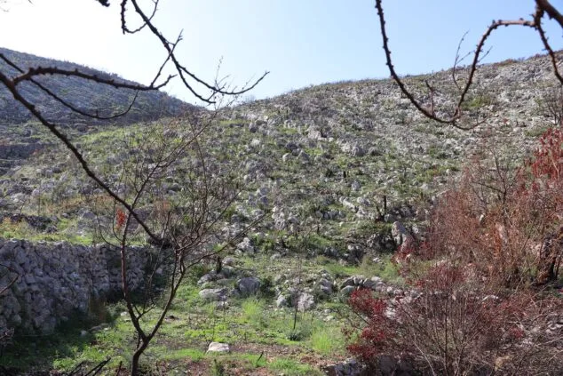 Les Valls de la Marina Alta desean renacer: ¿cuándo se recuperarán las montañas tras el gran incendio? 21 paisaje en la vall debo dos meses despues del incendio 08