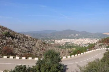 Paisaje en la Vall d’Ebo dos meses después del incendio 11