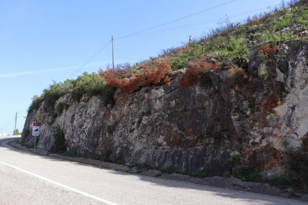 Les Valls de la Marina Alta desean renacer: ¿cuándo se recuperarán las montañas tras el gran incendio? 26 paisaje en la vall debo dos meses despues del incendio 13