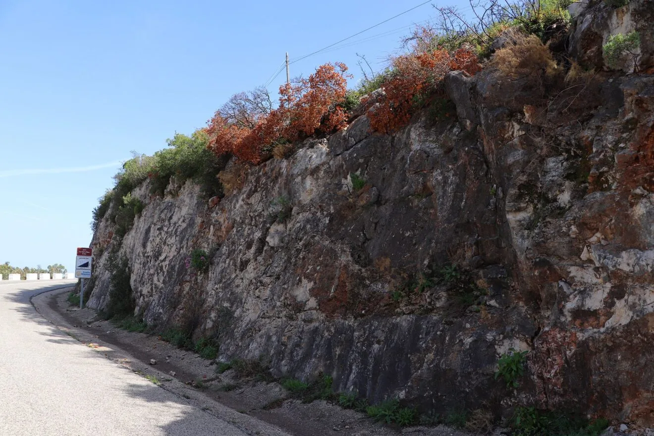 Paisaje en la Vall d'Ebo dos meses después del incendio 14