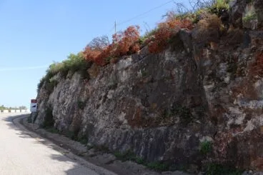 Paisaje en la Vall d’Ebo dos meses después del incendio 14