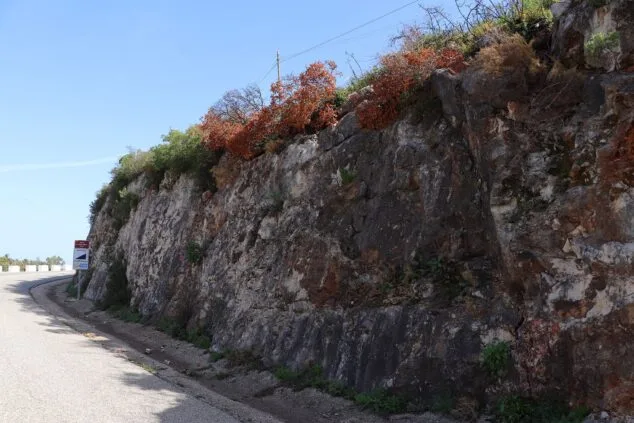 Les Valls de la Marina Alta desean renacer: ¿cuándo se recuperarán las montañas tras el gran incendio? 27 paisaje en la vall debo dos meses despues del incendio 14