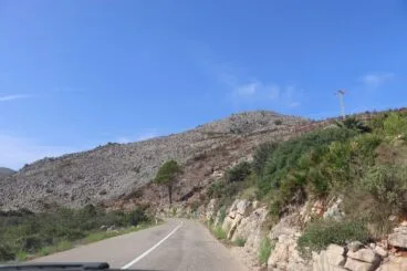 Paisaje en la Vall d’Ebo dos meses después del incendio 20