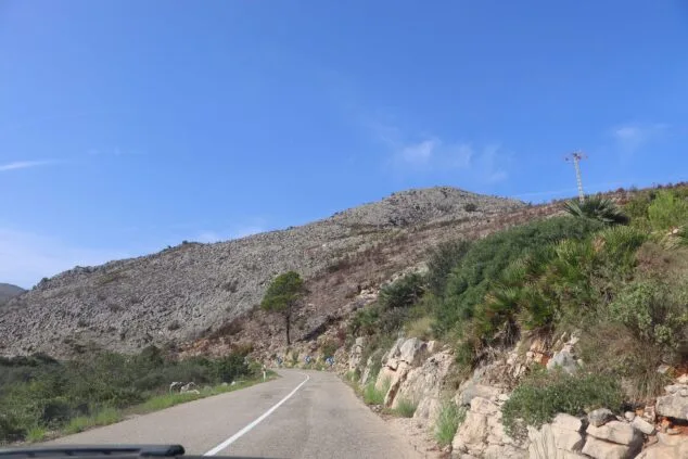 Les Valls de la Marina Alta desean renacer: ¿cuándo se recuperarán las montañas tras el gran incendio? 33 paisaje en la vall debo dos meses despues del incendio 20