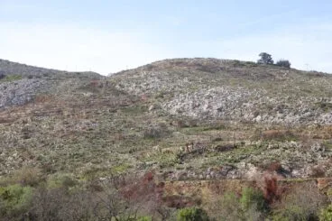 Paisaje en la Vall d’Ebo dos meses después del incendio 25