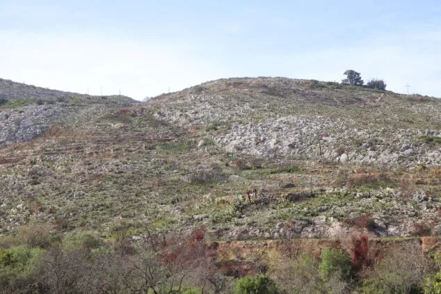 Les Valls de la Marina Alta desean renacer: ¿cuándo se recuperarán las montañas tras el gran incendio? 38 paisaje en la vall debo dos meses despues del incendio 25