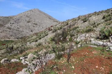 Paisaje en la Vall d’Ebo dos meses después del incendio 34