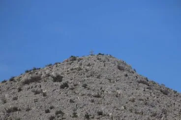 Paisaje en la Vall d’Ebo dos meses después del incendio 39