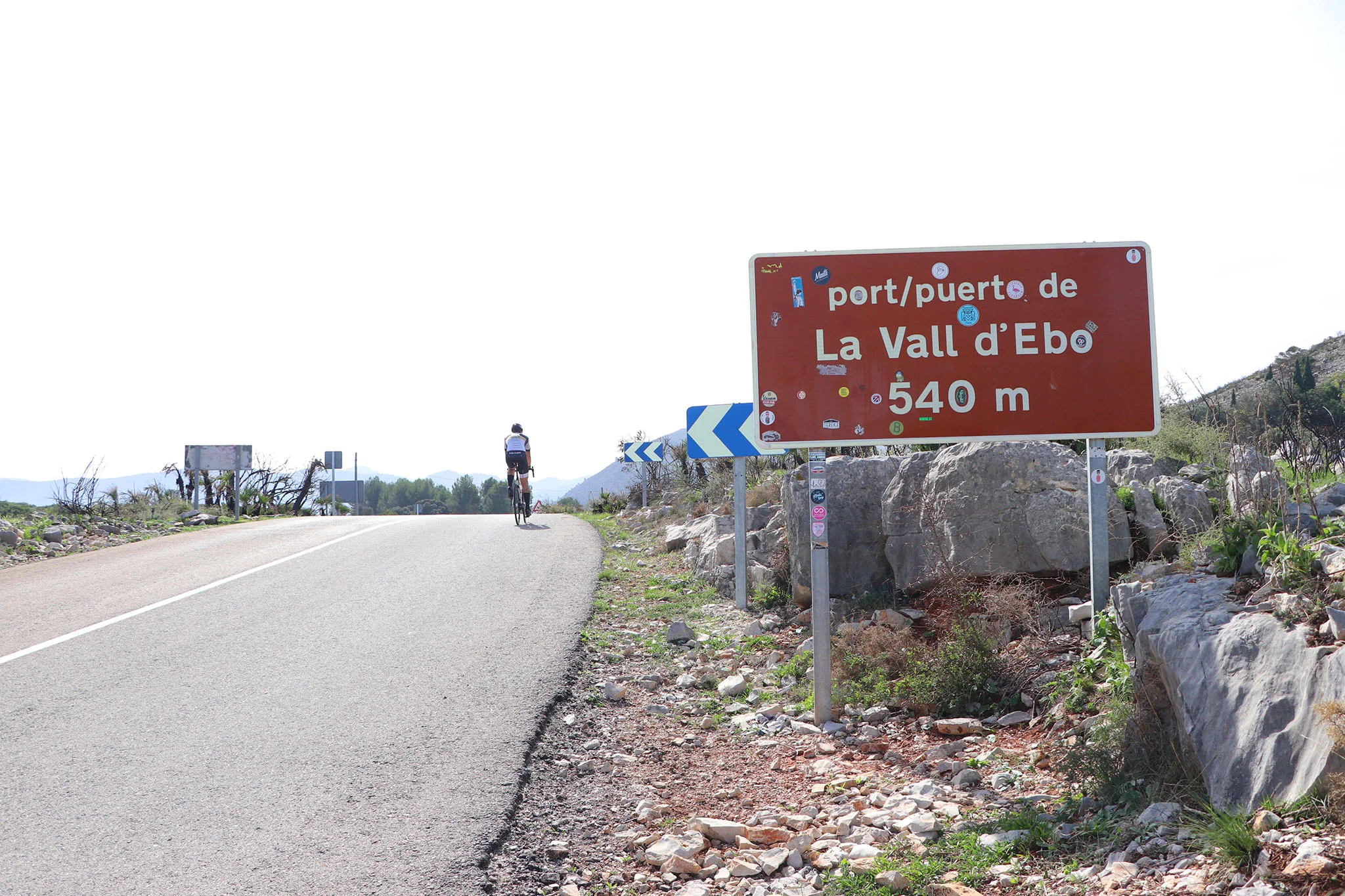 Paisaje en la Vall d’Ebo dos meses después del incendio 41