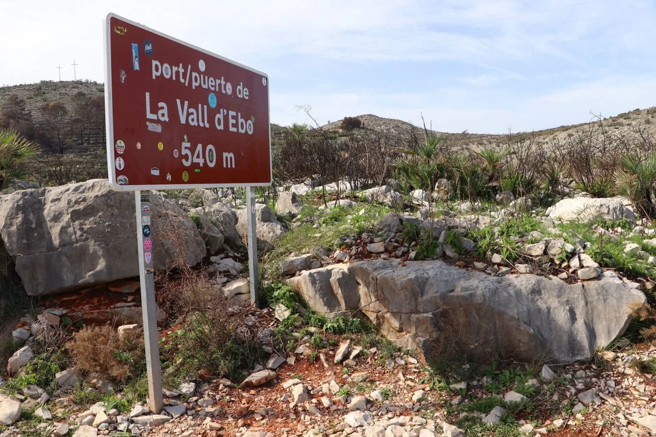Paisaje en la Vall d'Ebo dos meses después del incendio 43