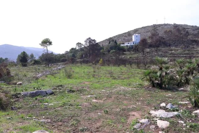 Les Valls de la Marina Alta desean renacer: ¿cuándo se recuperarán las montañas tras el gran incendio? 58 paisaje en la vall debo dos meses despues del incendio 45