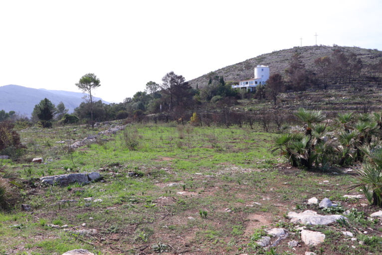 Landschap in de Vall d'Ebo twee maanden na de brand 45